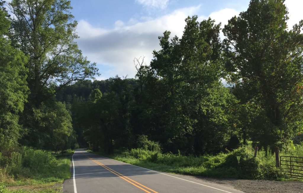 766d1385-68ed-4cdc-a32d-e8f2fb3d566f