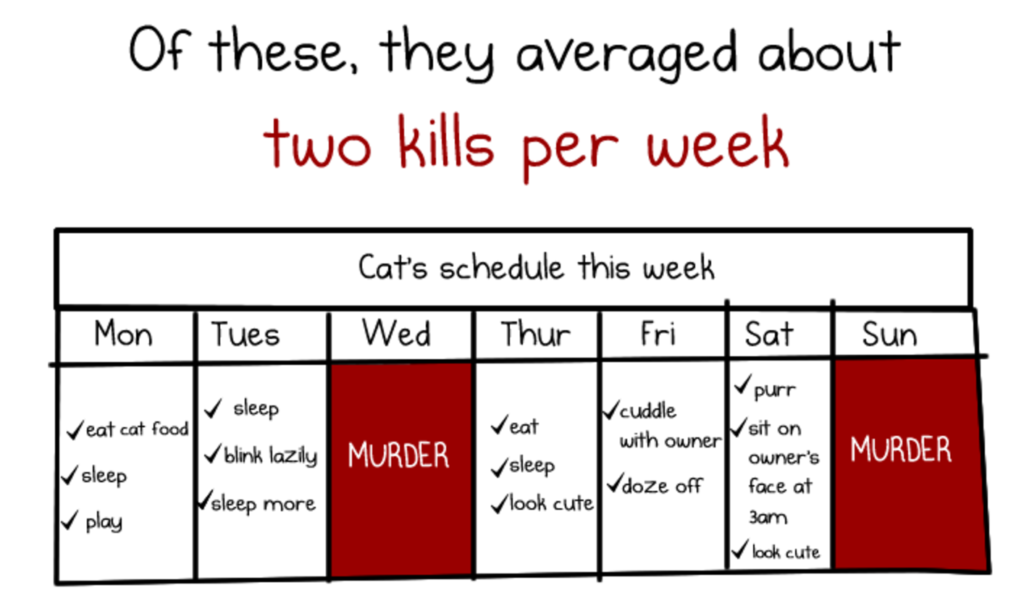 Screen Shot 2025-02-21 at 9.10.44 AM